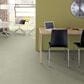 Shaw Find Your Comfort NS II Carpet in Willow Tree, , large