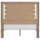 Ashley Brozmont Queen Panel Platform Bed in Natural Brown, , large