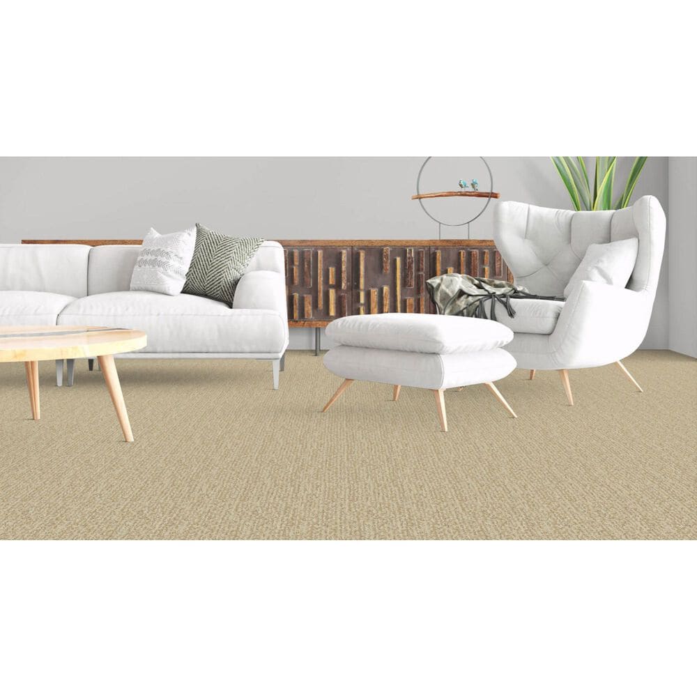 Masland Mesa Verde Carpet in Bleeker, , large