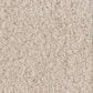 Anderson Tuftex Luxe Feel II Carpet in Neutral Ground, , large