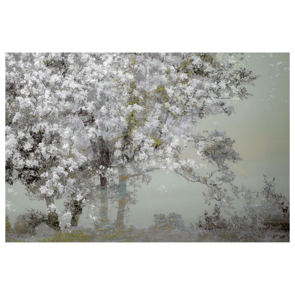 Timberlake Nel Talen 'Spring' 30" x 47" Canvas Art, , large