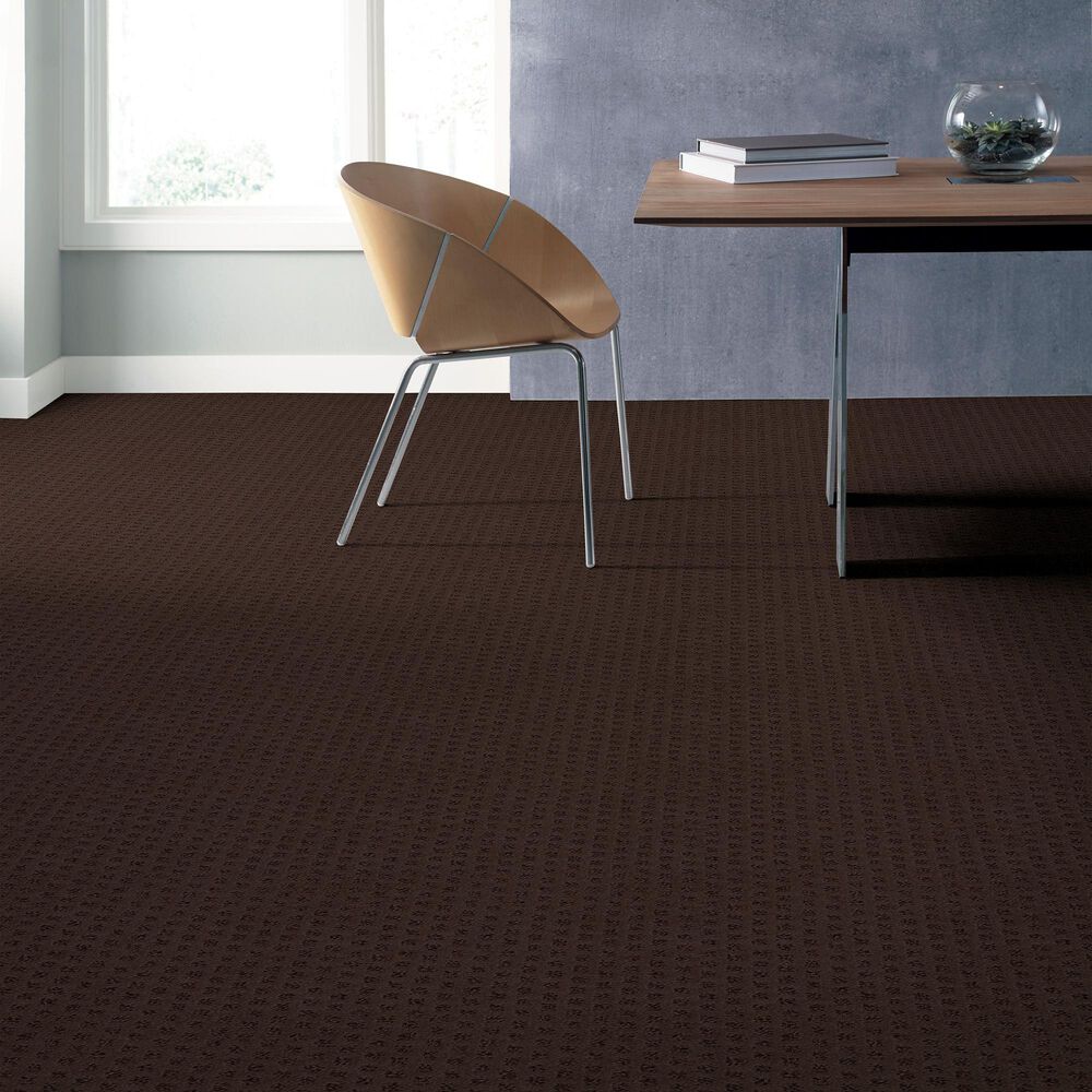 Anderson Tuftex Narrow Creek Carpet in Bison, , large