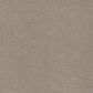 Dream Weaver Beach Club III Carpet in Haystack, , large