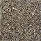 Shaw Detailed Elegance II Carpet in Flax, , large