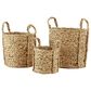 Maple and Jade Dried Coastal Storage Basket in Brown (Set of 3), , large