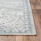 RIZZY Couture Gray 4" x 6" Area Rug, , large