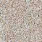 Shaw Always Ready II Carpet in Biscotti, , large