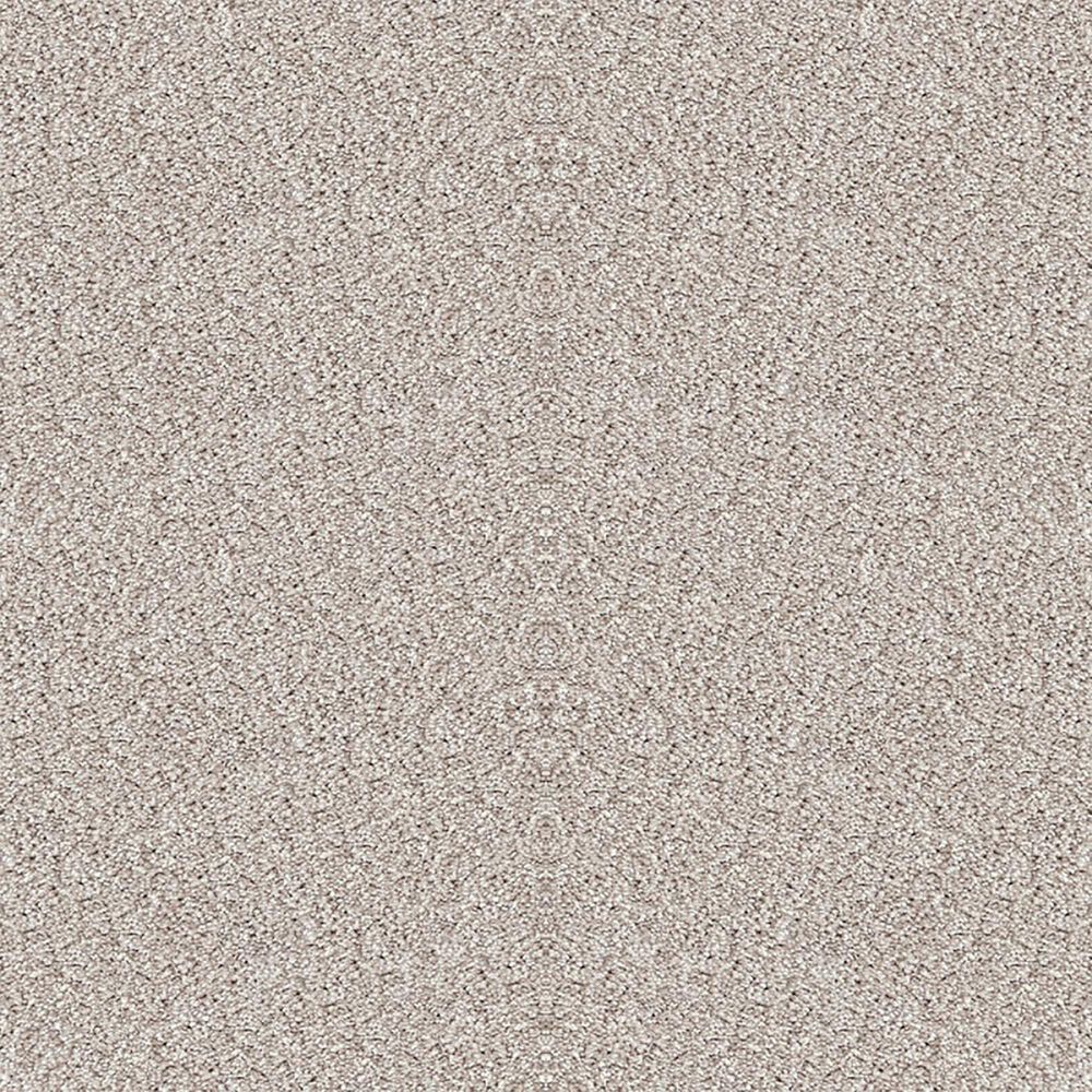 Dixie Home Noble Guardian Carpet in Yorkie, , large