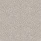 Dixie Home Noble Guardian Carpet in Yorkie, , large