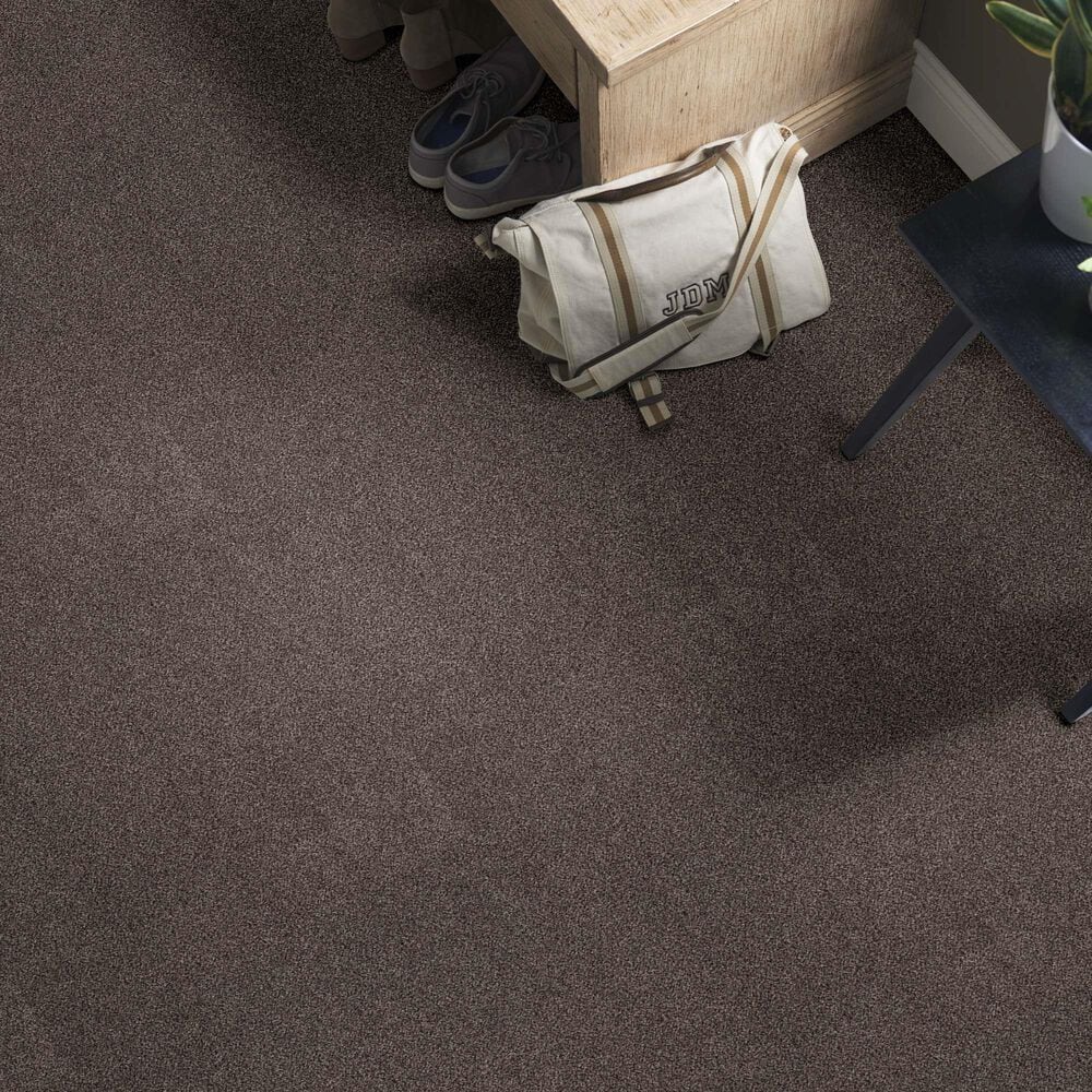 Anderson Tuftex Caress Cozy Harbor I Carpet in Burma Brown, , large