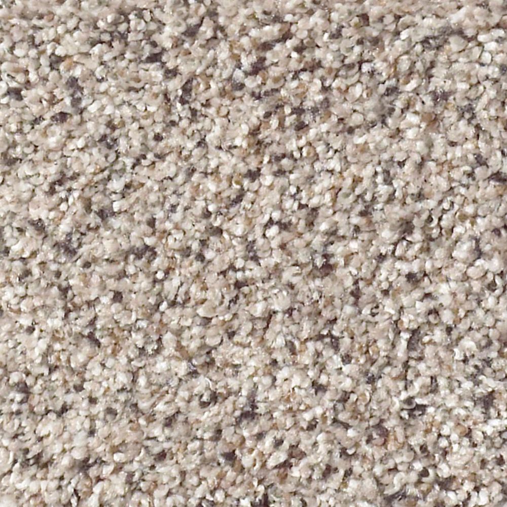 Shaw Foundations Take The Floor Accent I Carpet in Riverbed, , large