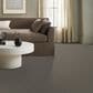 Anderson Tuftex Magnifique Carpet in Cathedral, , large