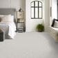 Anderson Tuftex Appreciation Carpet in Crete, , large