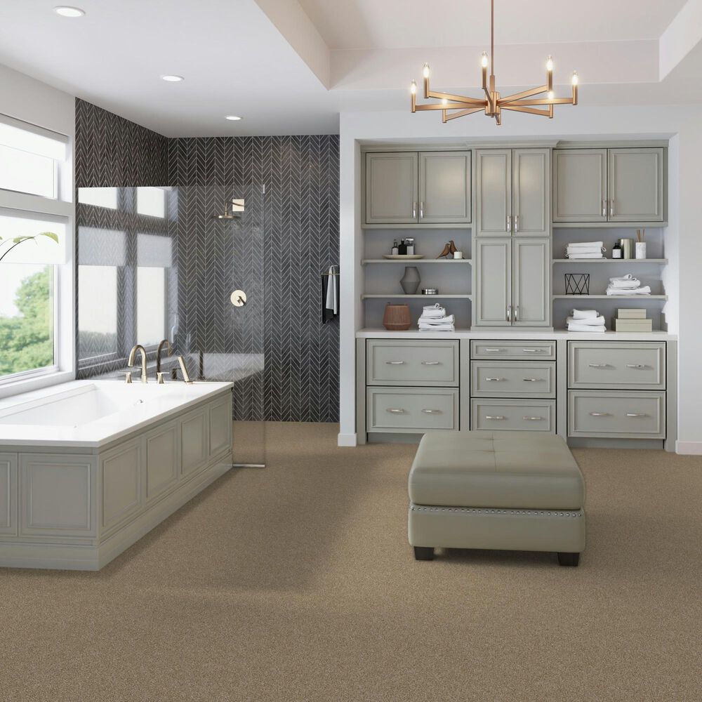 Dream Weaver Luxor II Carpet in Sawgrass, , large