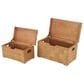 Maple and Jade 2-Piece Handmade Decorative Trunk Set in Brown, , large