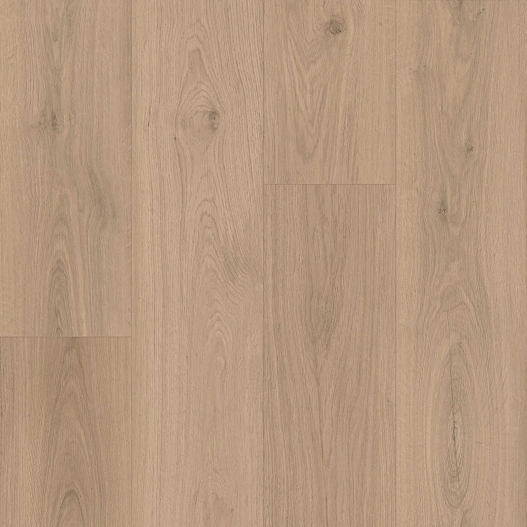Paramount Keystone Smoke Tree 7