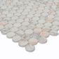 MS International Briar Rosa 12" x 12" Penny Round Glass Mosaic Sheet, , large