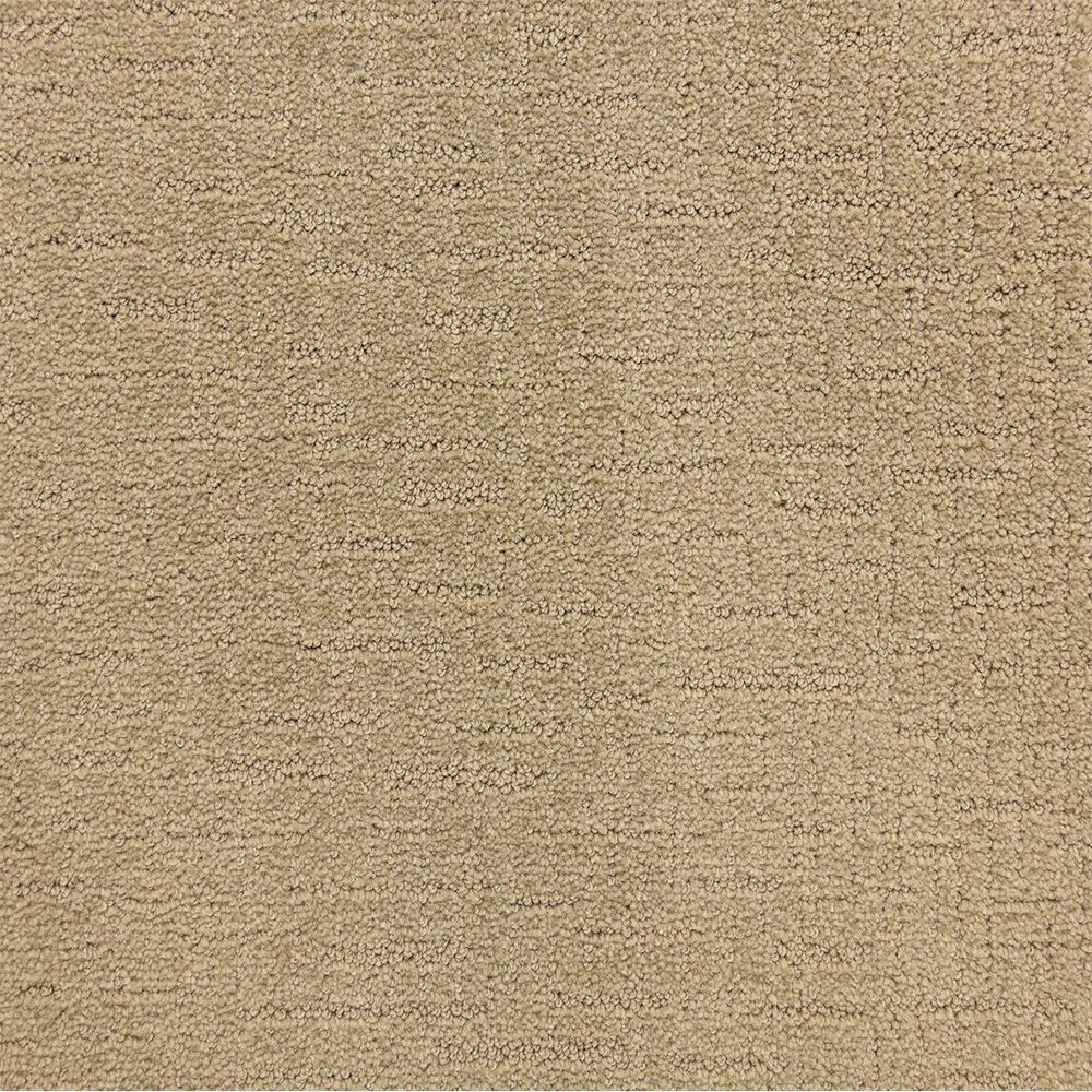 Dixie Home Courage Carpet in Champion, , large