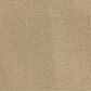 Dixie Home Courage Carpet in Champion, , large