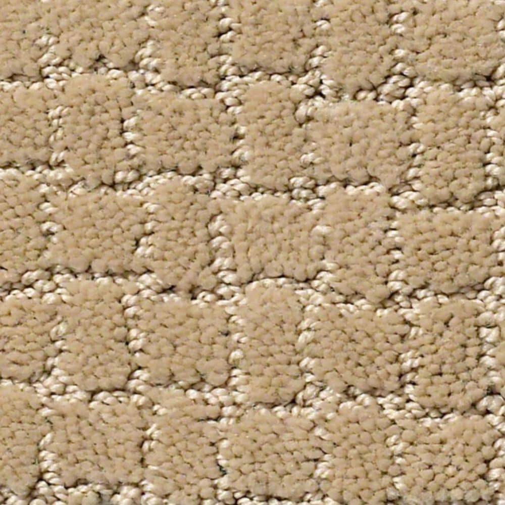 Anderson Tuftex Pawstruck Carpet in Monterey, , large
