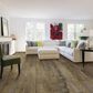 Pergo Wider Longer PT008-P Mud Slide 10" x 72" Luxury Vinyl Plank, , large