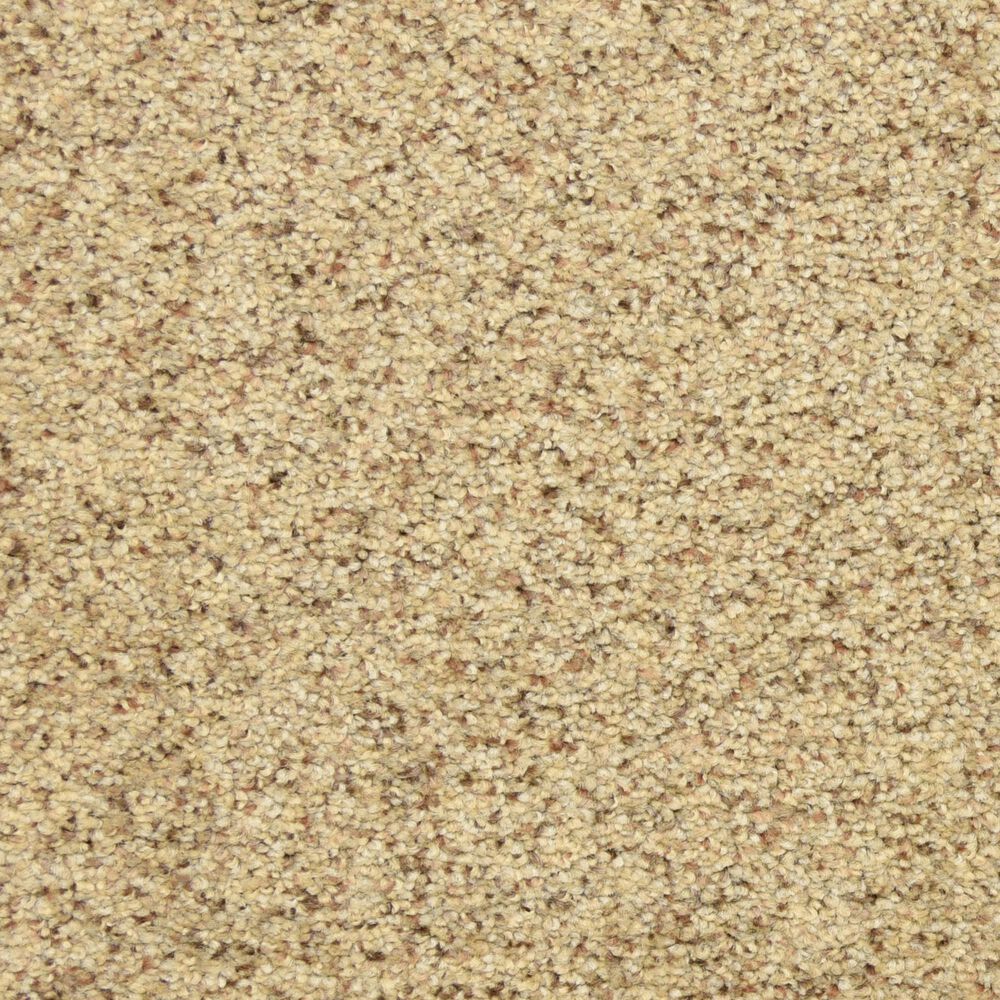 Dixie Home Debut Carpet in Oatmeal Raisin, , large