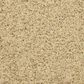 Dixie Home Debut Carpet in Oatmeal Raisin, , large