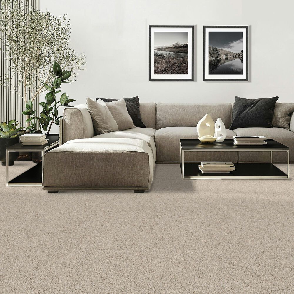 Mohawk Diffurent Choice II Carpet in Frosted Almond, , large