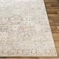 Surya Indigo IGO-2306 7"9" x 10"3" Black and Beige Area Rug, , large