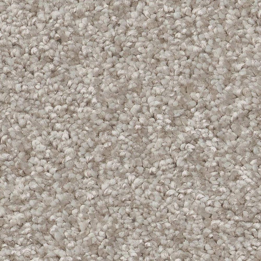Shaw You Got This II Carpet in Sculpture, , large