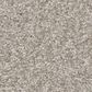 Shaw You Got This II Carpet in Sculpture, , large