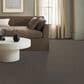 Anderson Tuftex Inspired Carpet in Meteorite, , large