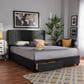 Baxton Studio Netti Queen Storage Bed with Dark Grey Upholstered in Black, , large