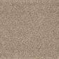 Karastan Highland Scene Carpet in Pristine, , large