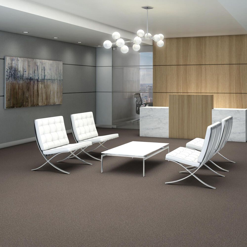 Shaw Trusplendor Carpet in Cobble Drive, , large