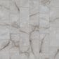 Shaw Astoria Brindle 12" x 24" Polished Porcelain Tile, , large