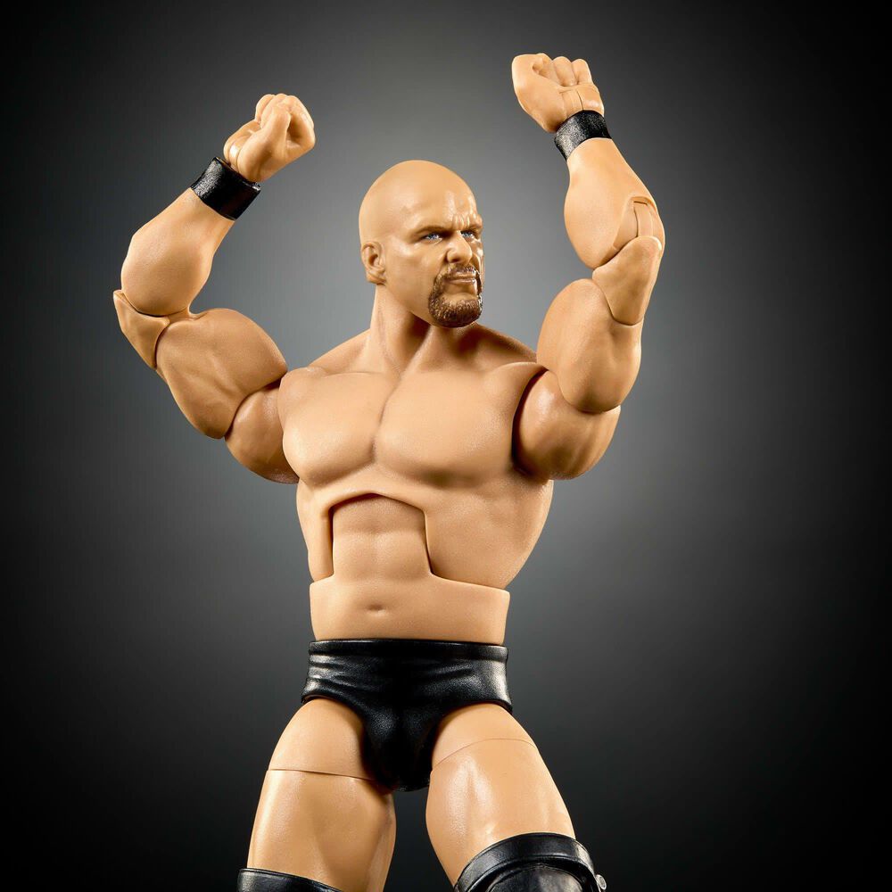 WWE Premium Live Event Stone Cold Steve Austin Action Figure Set, , large