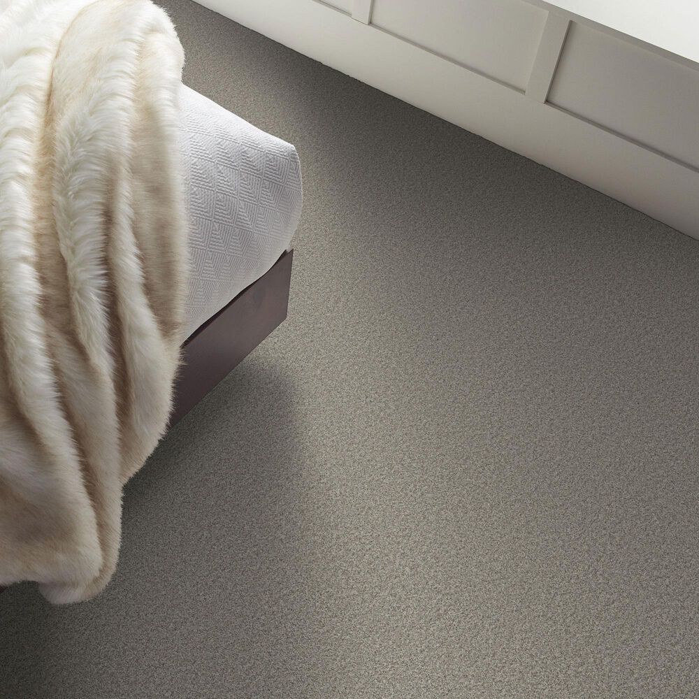 Shaw Comforting II Carpet in Rustic, , large