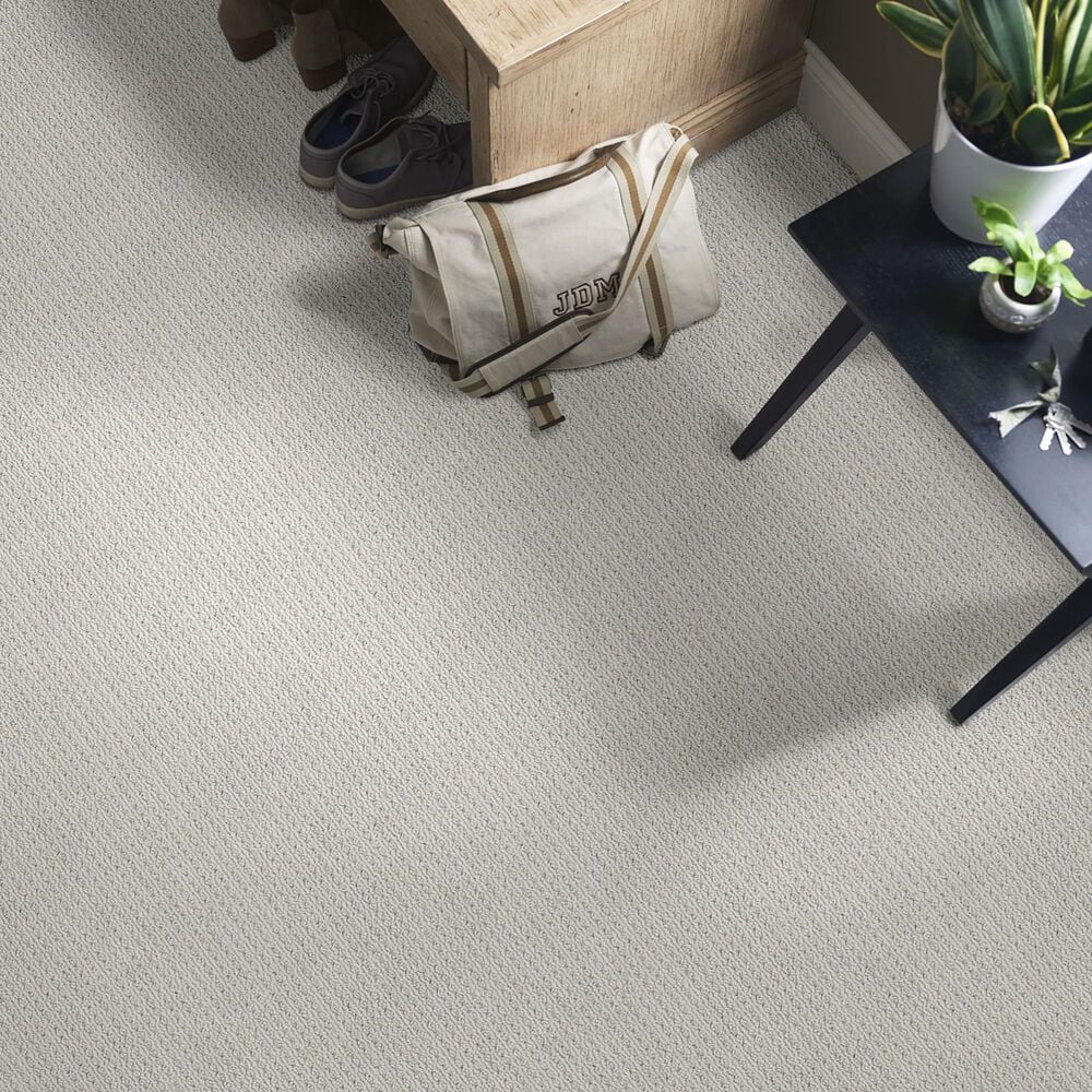 Anderson Tuftex San Lucas Carpet in Silverplate, , large