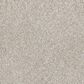 Dream Weaver Affinity II Carpet in Sparrow, , large