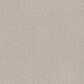 Shaw Tonal Comfort I Carpet in Need A Hug, , large