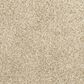 Mohawk Canine Chic Carpet Coconut, , large
