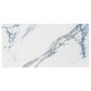 Soho Studio Calacatta Azul 12" x 24" Matte Porcelain Tile, , large