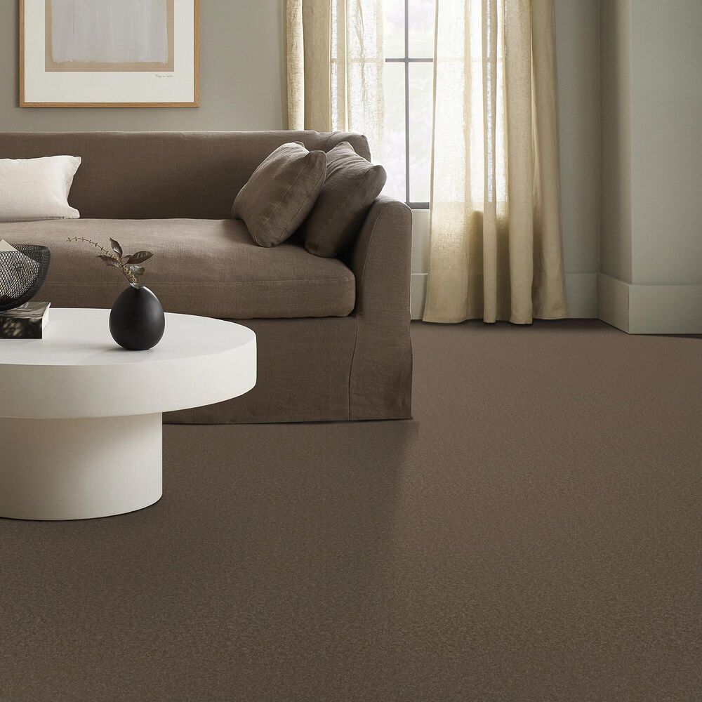Anderson Tuftex Elegant Beauty Carpet in Carafe, , large