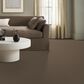 Anderson Tuftex Elegant Beauty Carpet in Carafe, , large