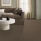 Anderson Tuftex Elegant Beauty Carpet in Carafe, , large