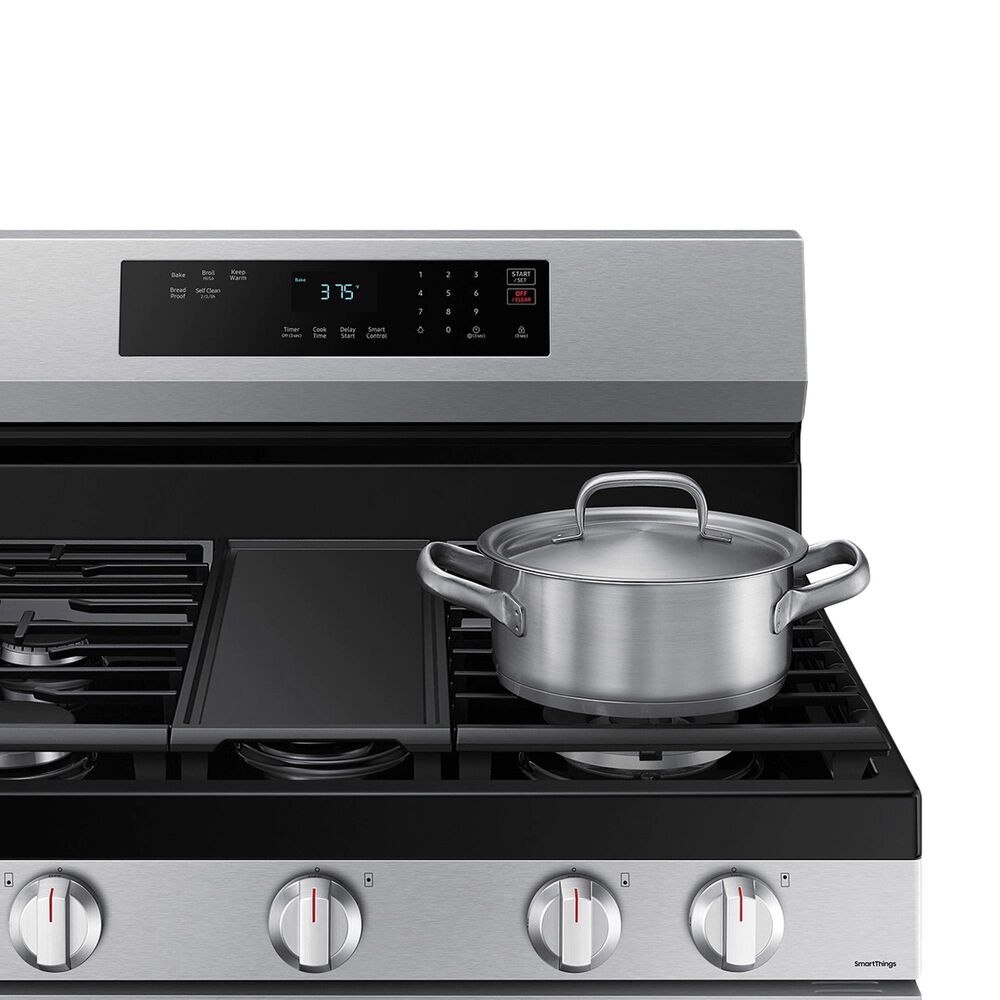 Samsung 6 Cu. Ft. Freestanding Gas Range with Self Clean in Stainless Steel, , large