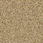 Shaw Tonal Comfort Ii Carpet in Hello Sunshine, , large