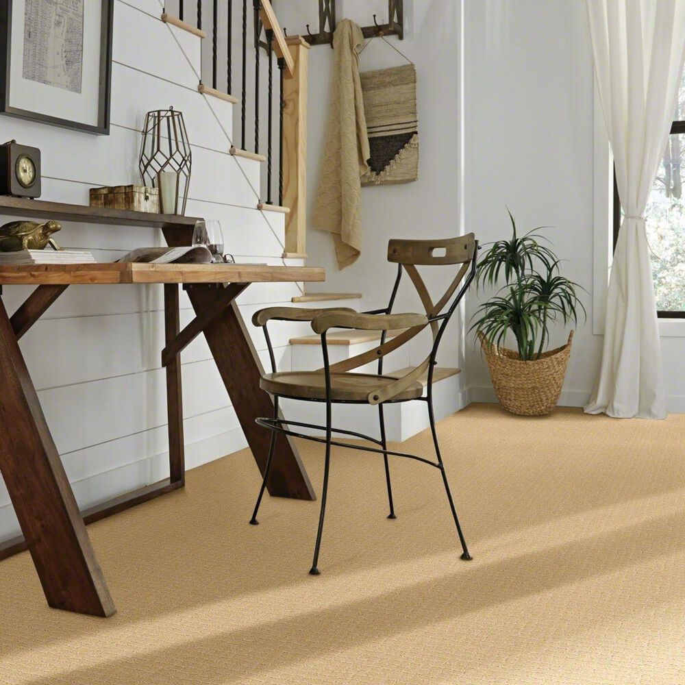 Anderson Tuftex Pawstruck Carpet in Cork, , large