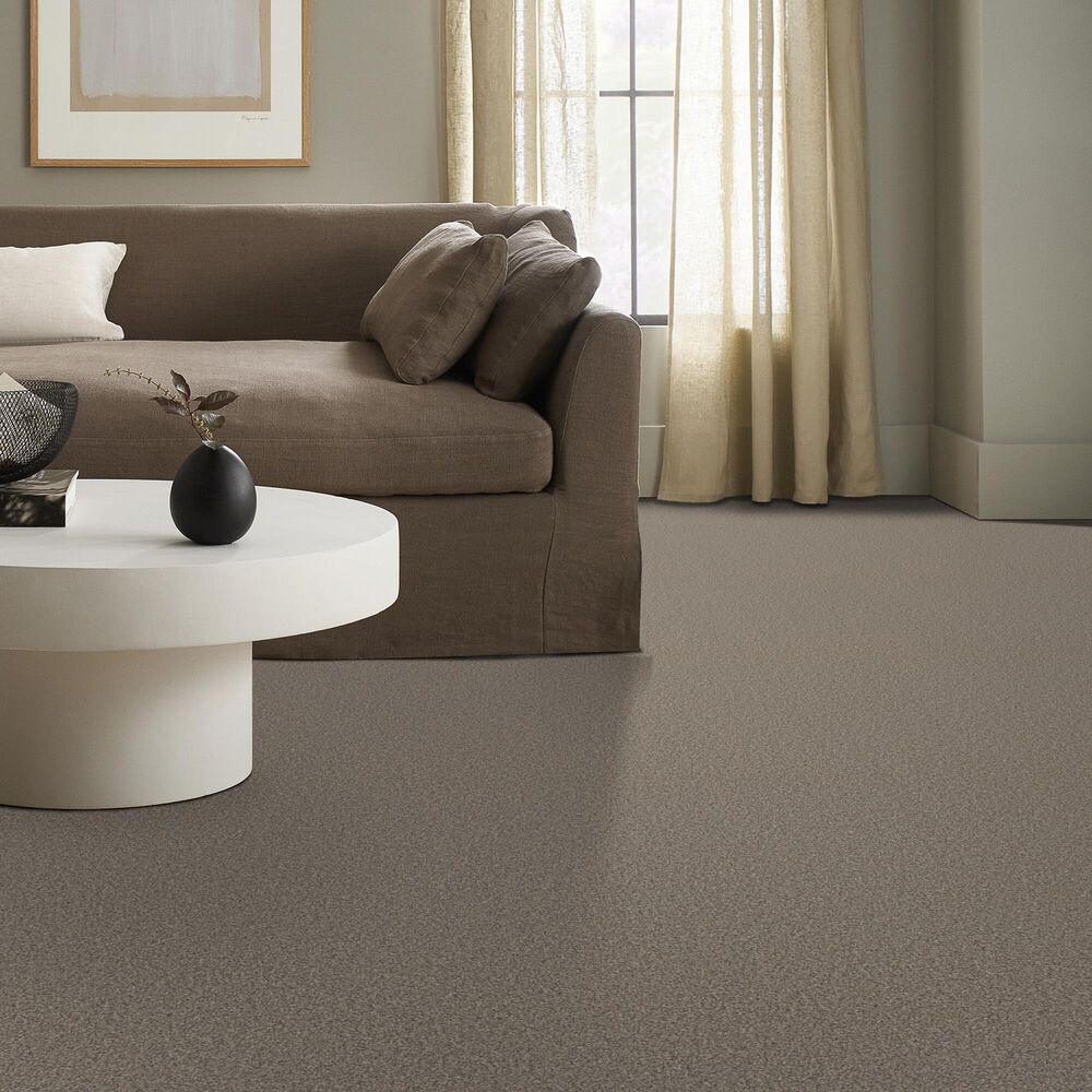 Shaw Tweed Comfort I Carpet in Stroke of Luck, , large